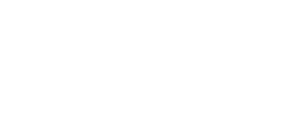 Logo Lars Wilczinski